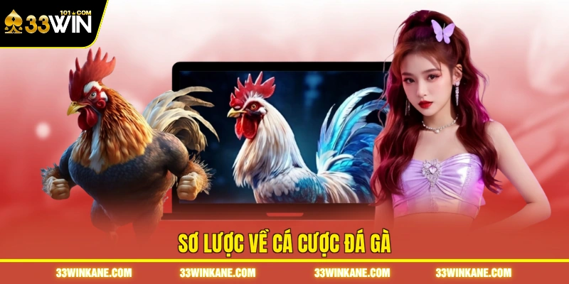 Sơ lược về cá cược đá gà